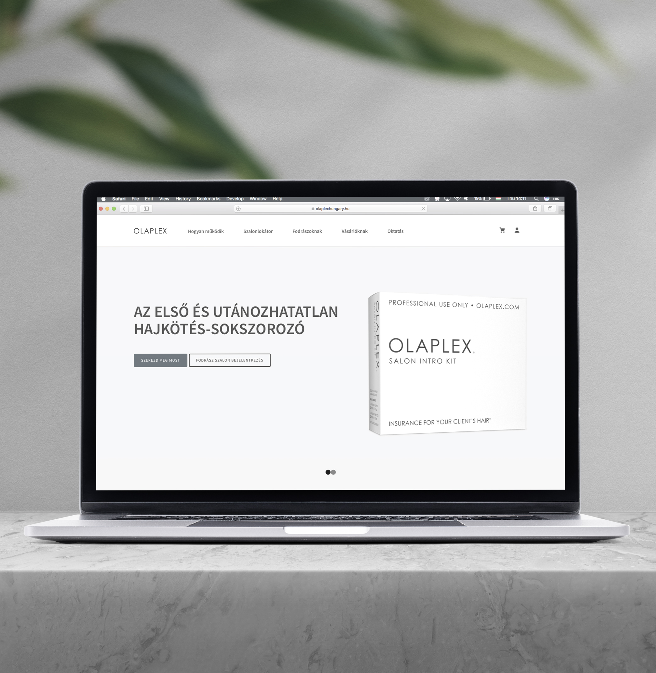 OLAPLEX